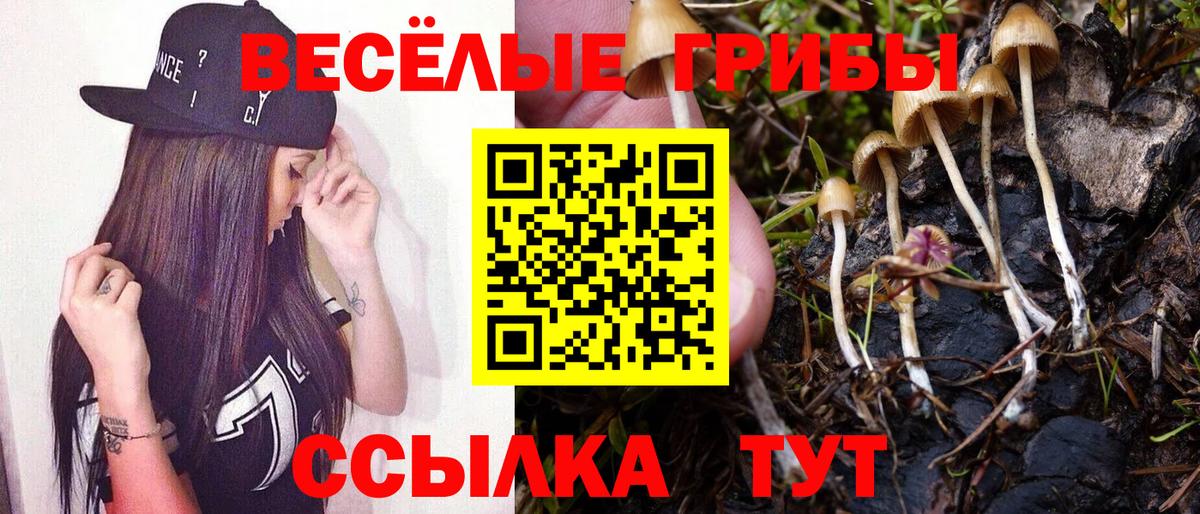 Псилоцибиновые грибы прущие грибы  Вход с VPN  хочу наркоту  Магадан 